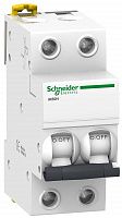 

Выключатель автоматический 2-пол. 63A с 6кА iK60N Schneider Electric Acti9